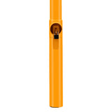 Bollard Heavy-Duty Removable In-Ground Double Lock Shared Zone Yellow