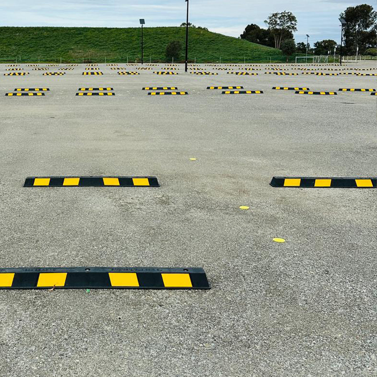 Marking Dots, 100mm Diameter